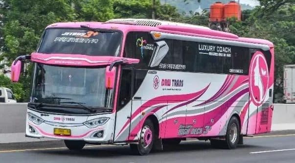 Tips Memilih Bus Pariwisata yang Tepat untuk Rombongan Anda